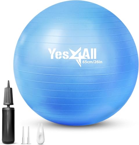 イエスフォーオール(Yes4All) バランスボール 直径65cm ヨガボール フィットネスボール やわらかい ボール椅子 ブルー 空気入れ付き 【日本正規輸入品】